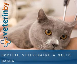 Hôpital vétérinaire à Salto d'Agua