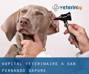 Hôpital vétérinaire à San Fernando d'Apure