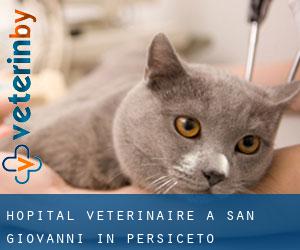 Hôpital vétérinaire à San Giovanni in Persiceto