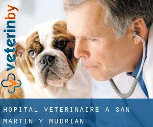 Hôpital vétérinaire à San Martín y Mudrián