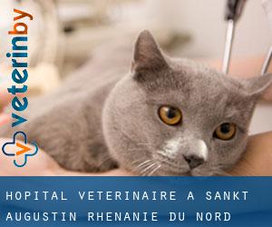 Hôpital vétérinaire à Sankt Augustin (Rhénanie du Nord-Westphalie)