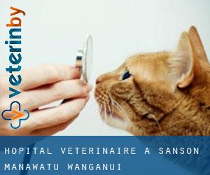Hôpital vétérinaire à Sanson (Manawatu-Wanganui)