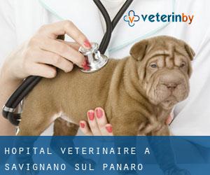Hôpital vétérinaire à Savignano sul Panaro