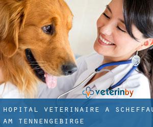 Hôpital vétérinaire à Scheffau am Tennengebirge