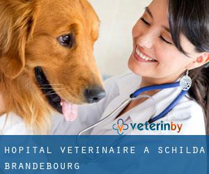 Hôpital vétérinaire à Schilda (Brandebourg)