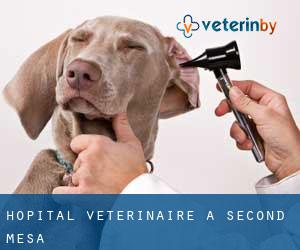 Hôpital vétérinaire à Second Mesa