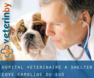 Hôpital vétérinaire à Shelter Cove (Caroline du Sud)