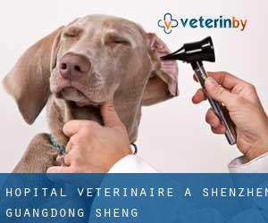 Hôpital vétérinaire à Shenzhen (Guangdong Sheng)