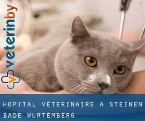 Hôpital vétérinaire à Steinen (Bade-Wurtemberg)