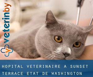 Hôpital vétérinaire à Sunset Terrace (État de Washington)
