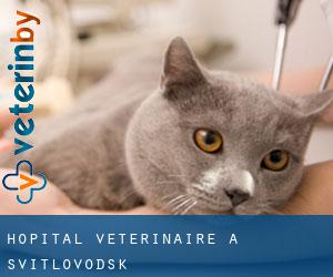 Hôpital vétérinaire à Svitlovods'k