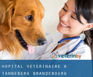 Hôpital vétérinaire à Tanneberg (Brandebourg)