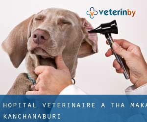 Hôpital vétérinaire à Tha Maka (Kanchanaburi)