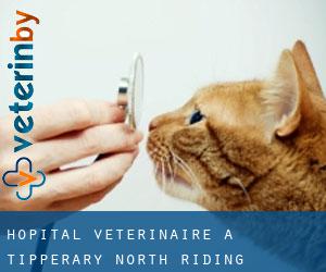 Hôpital vétérinaire à Tipperary North Riding