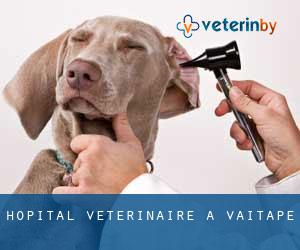 Hôpital vétérinaire à Vaitape