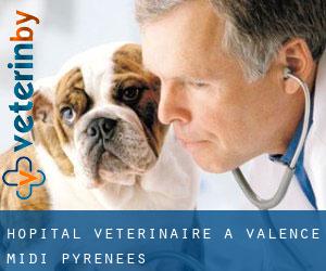 Hôpital vétérinaire à Valence (Midi-Pyrénées)