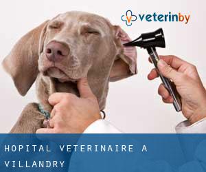 Hôpital vétérinaire à Villandry