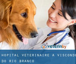 Hôpital vétérinaire à Visconde do Rio Branco