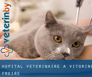 Hôpital vétérinaire à Vitorino Freire