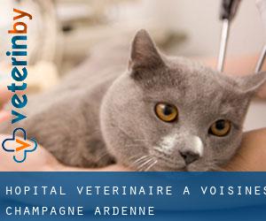 Hôpital vétérinaire à Voisines (Champagne-Ardenne)