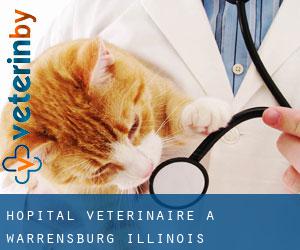 Hôpital vétérinaire à Warrensburg (Illinois)