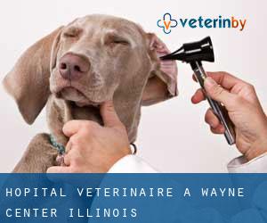 Hôpital vétérinaire à Wayne Center (Illinois)