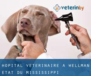 Hôpital vétérinaire à Wellman (État du Mississippi)