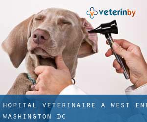 Hôpital vétérinaire à West End (Washington, D.C.)