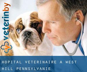 Hôpital vétérinaire à West Hill (Pennsylvanie)