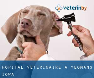 Hôpital vétérinaire à Yeomans (Iowa)