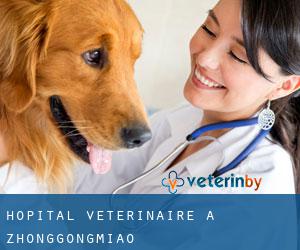 Hôpital vétérinaire à Zhonggongmiao