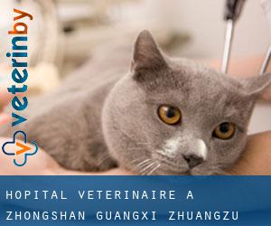 Hôpital vétérinaire à Zhongshan (Guangxi Zhuangzu Zizhiqu)