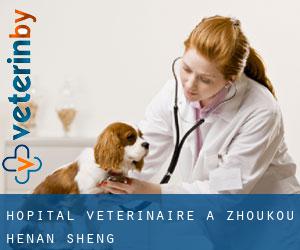 Hôpital vétérinaire à Zhoukou (Henan Sheng) Hôpital vétérinaire à Zhoukou (Henan Sheng)