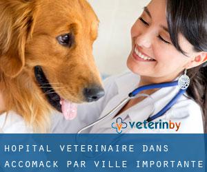 Hôpital vétérinaire dans Accomack par ville importante - page 1