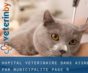 Hôpital vétérinaire dans Aisne par municipalité - page 4