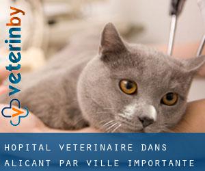 Hôpital vétérinaire dans Alicant par ville importante - page 1
