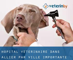 Hôpital vétérinaire dans Allier par ville importante - page 2