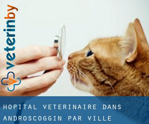 Hôpital vétérinaire dans Androscoggin par ville importante - page 1