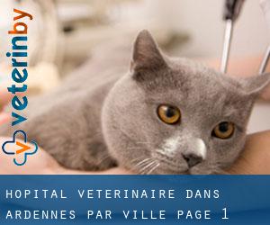 Hôpital vétérinaire dans Ardennes par ville - page 1