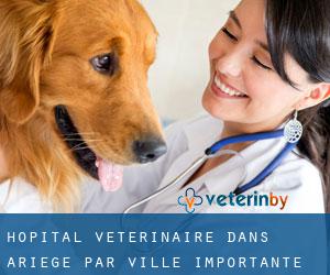 Hôpital vétérinaire dans Ariège par ville importante - page 1