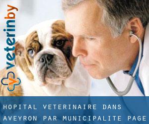 Hôpital vétérinaire dans Aveyron par municipalité - page 2