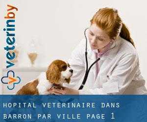 Hôpital vétérinaire dans Barron par ville - page 1