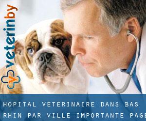 Hôpital vétérinaire dans Bas-Rhin par ville importante - page 13