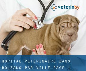 Hôpital vétérinaire dans Bolzano par ville - page 1