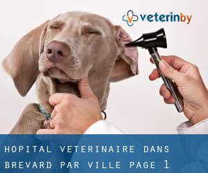 Hôpital vétérinaire dans Brevard par ville - page 1