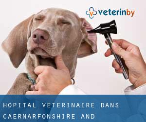 Hôpital vétérinaire dans Caernarfonshire and Merionethshire par principale ville - page 3