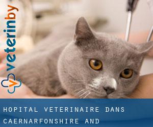 Hôpital vétérinaire dans Caernarfonshire and Merionethshire par ville - page 2