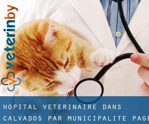 Hôpital vétérinaire dans Calvados par municipalité - page 2