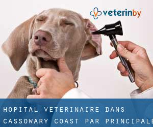 Hôpital vétérinaire dans Cassowary Coast par principale ville - page 1