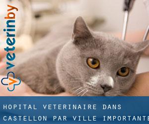 Hôpital vétérinaire dans Castellon par ville importante - page 1